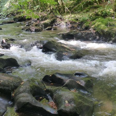 Готель Au Fil De L'Eau Grupont Екстер'єр фото